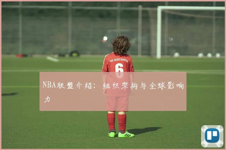 NBA联盟介绍：组织架构与全球影响力