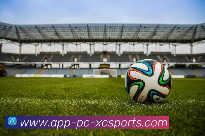 杏彩体育发展历程